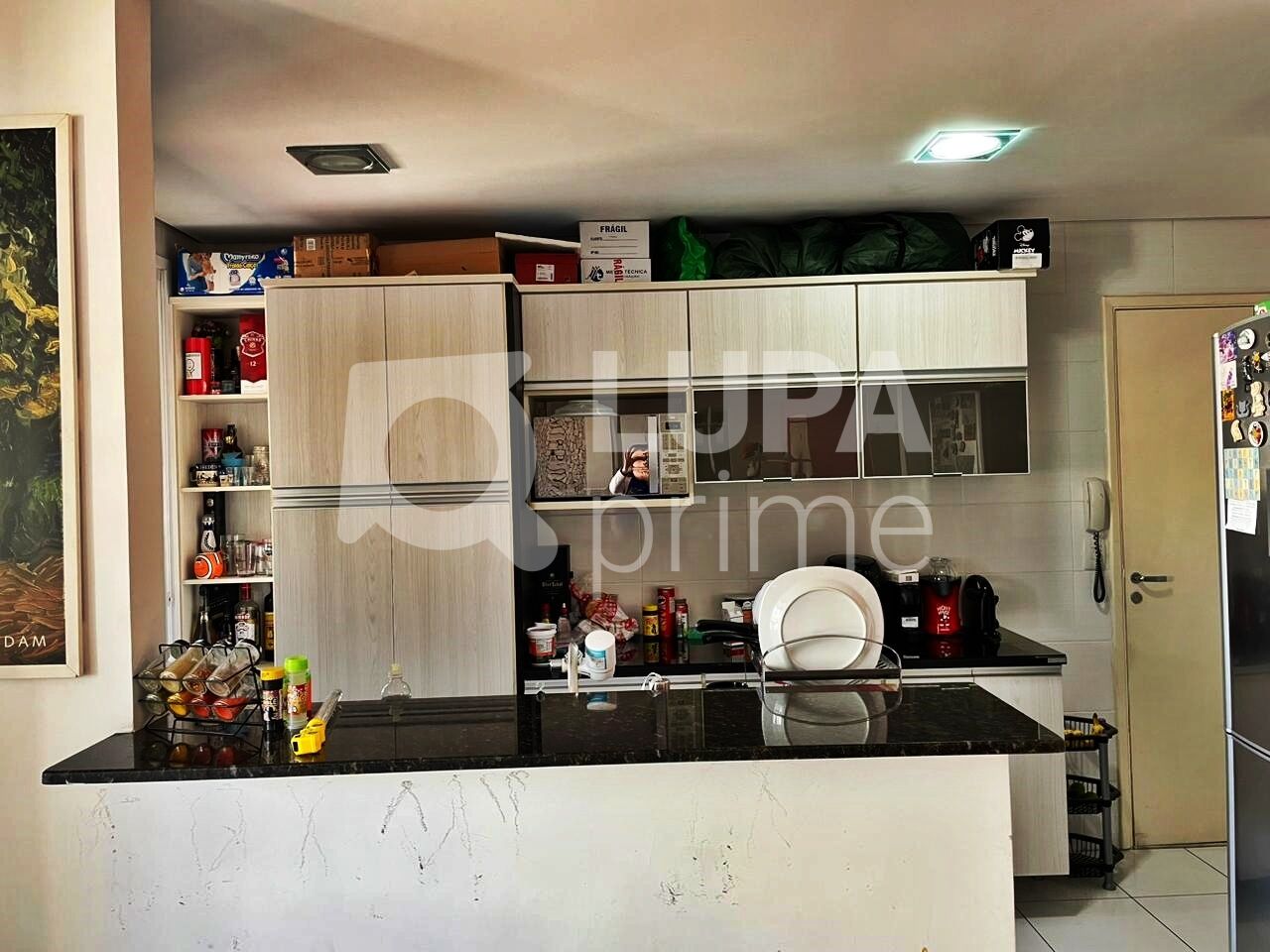 apartamento-venda-sao-paulo-parada-inglesa-2dormitorios-2vagas-86m2-LM27022