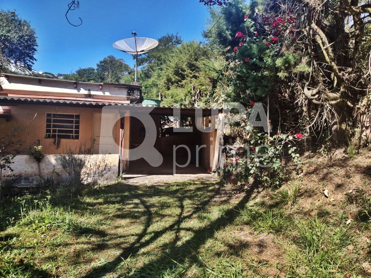 Terreno, 5000 m² - Foto 7