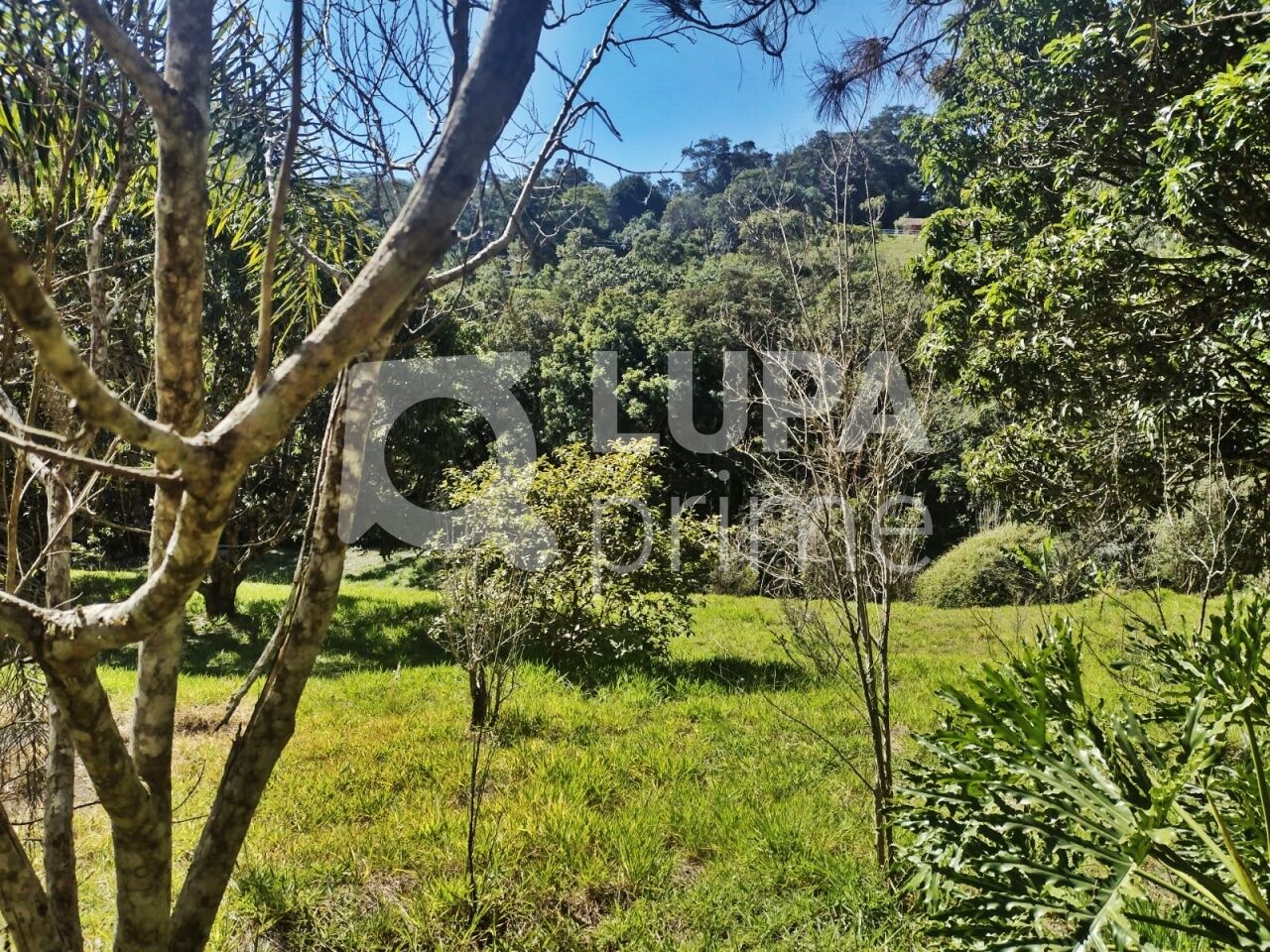 Terreno, 5000 m² - Foto 4