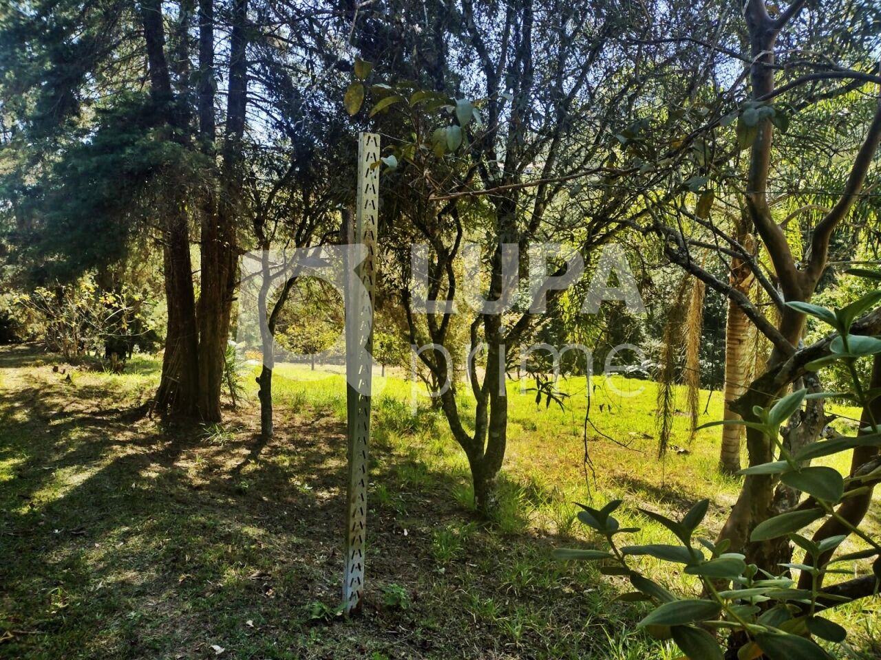 Terreno, 5000 m² - Foto 1