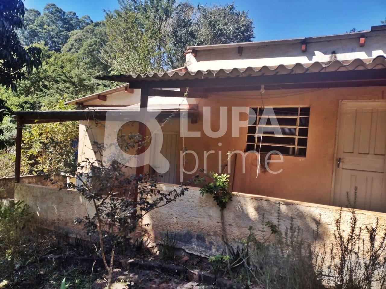 Terreno, 5000 m² - Foto 5