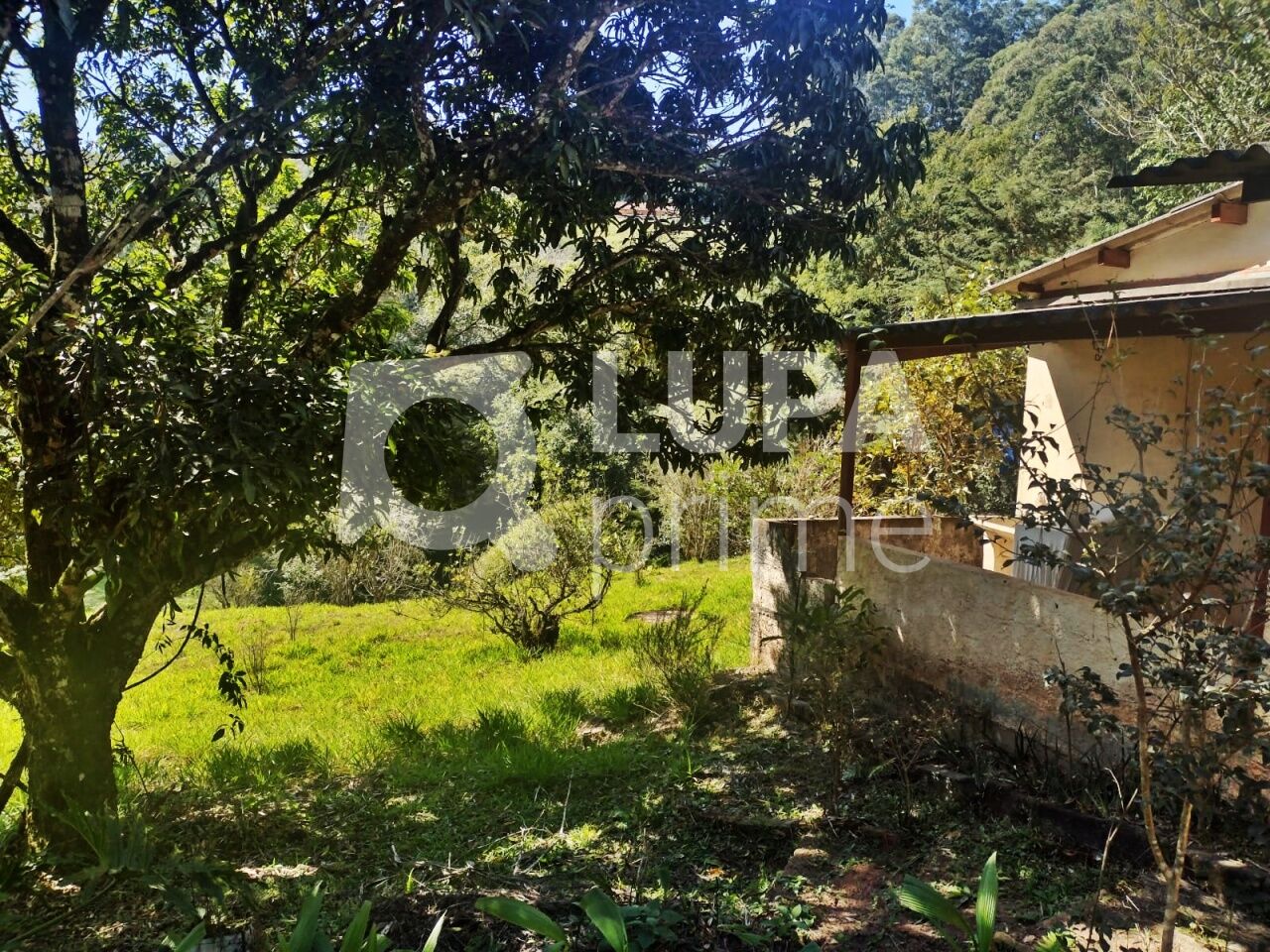 Terreno, 5000 m² - Foto 10