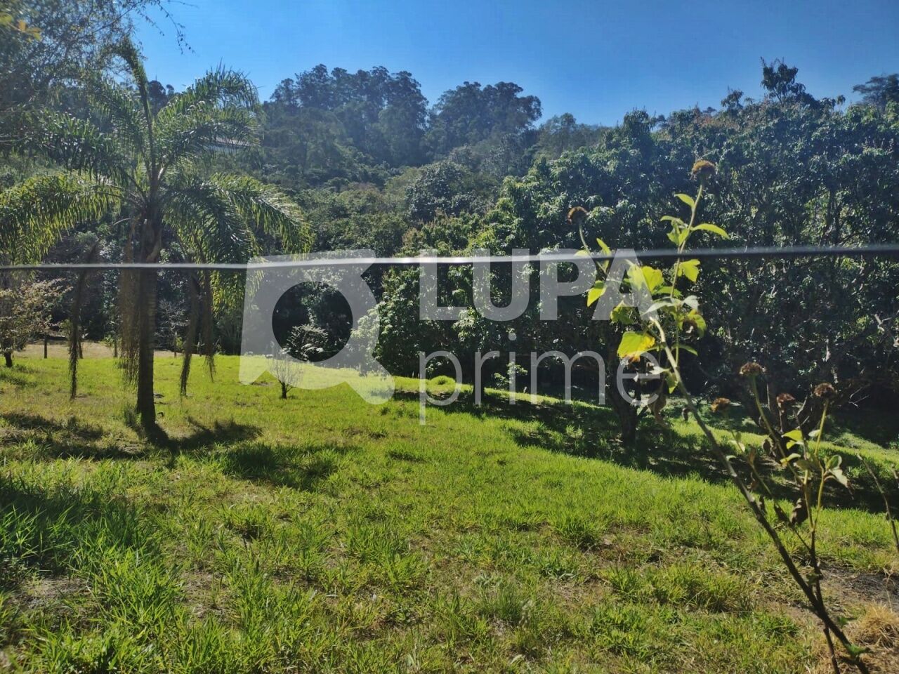 Terreno, 5000 m² - Foto 12