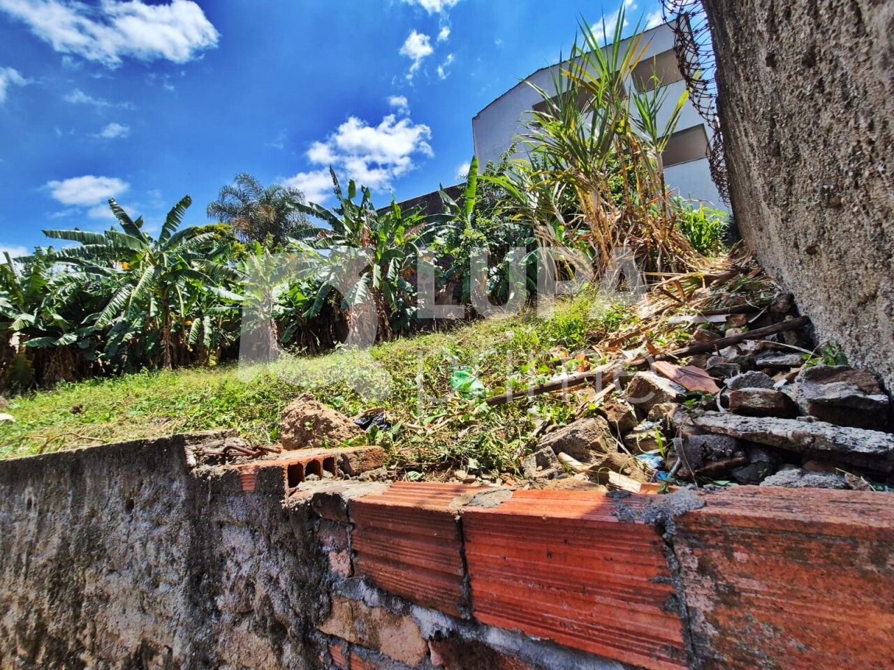 casa-terrea-venda-sao-paulo-vila-maria-alta-5dormitorios-6vagas-280m2-LM27233