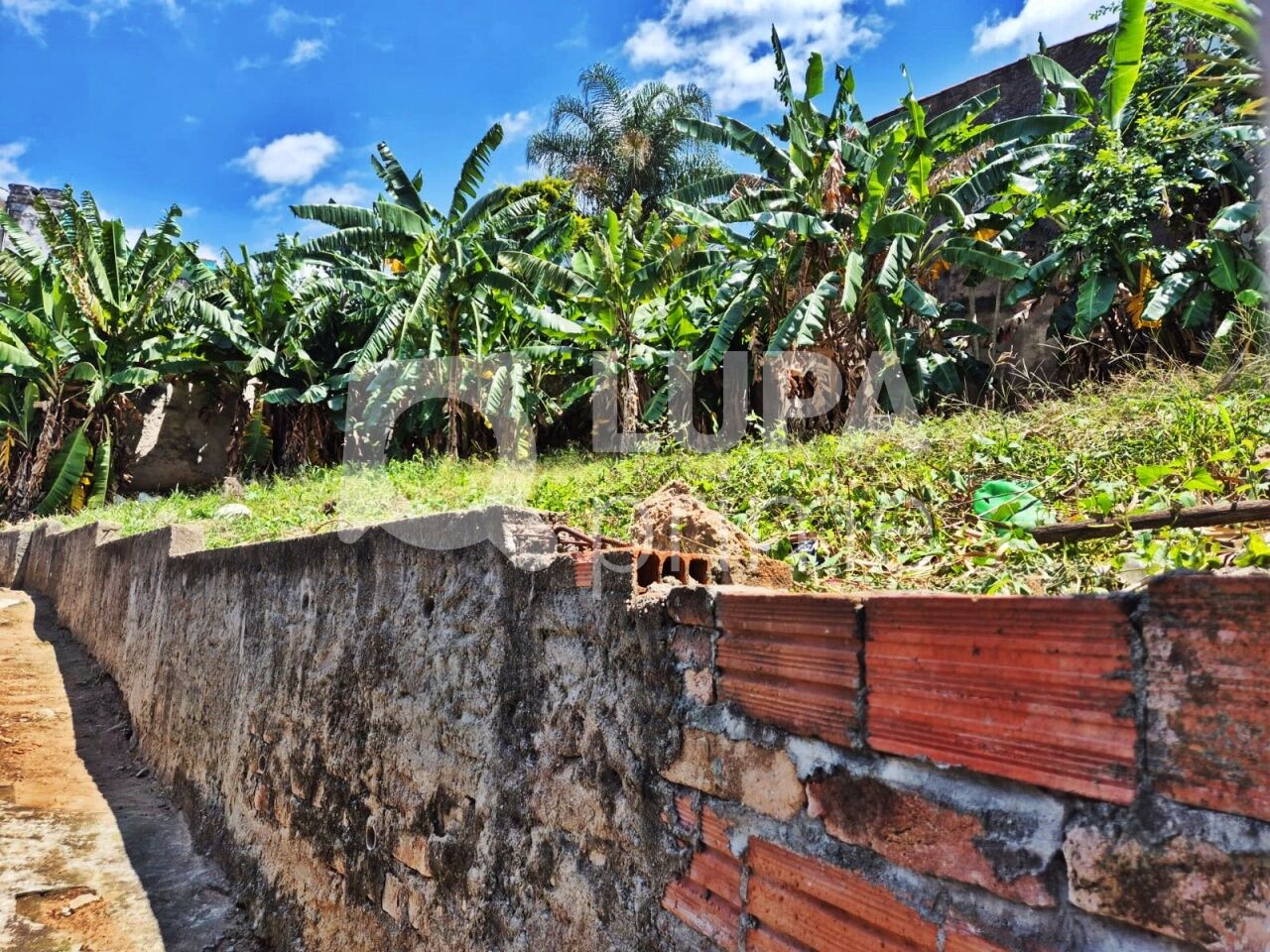 casa-terrea-venda-sao-paulo-vila-maria-alta-5dormitorios-6vagas-280m2-LM27233