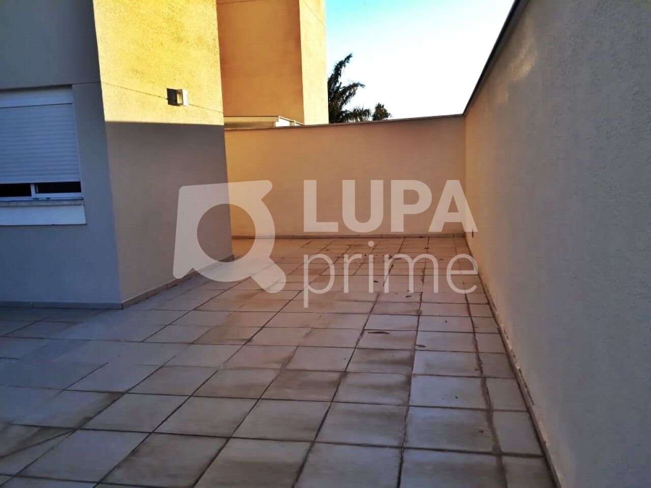 apartamento-venda-sao-paulo-tremembe-3dormitorios-1suite-2vagas-175m2-LM27254