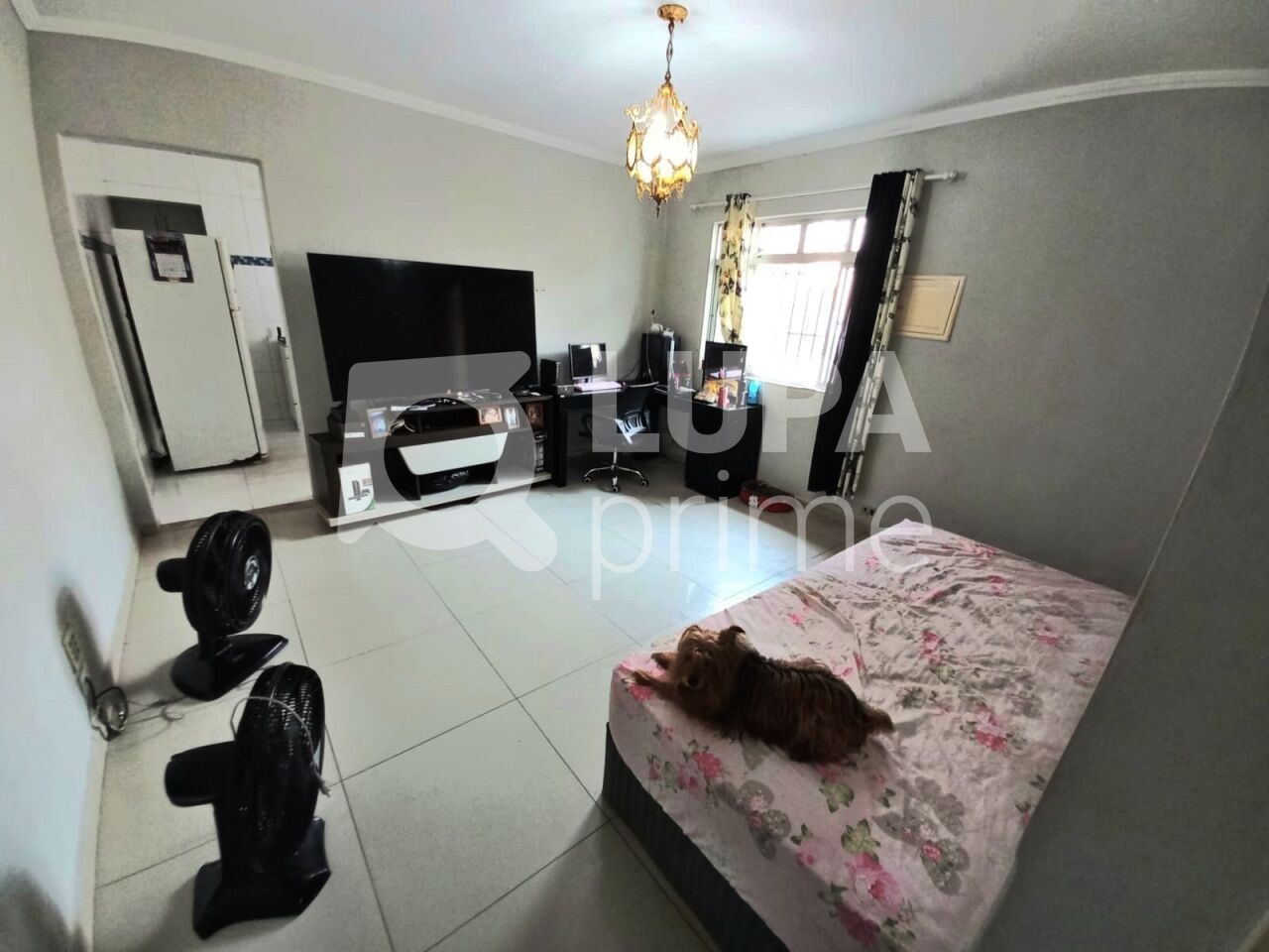 casa-terrea-venda-sao-paulo-vila-nova-mazzei-1dormitorio-50m2-LM27310