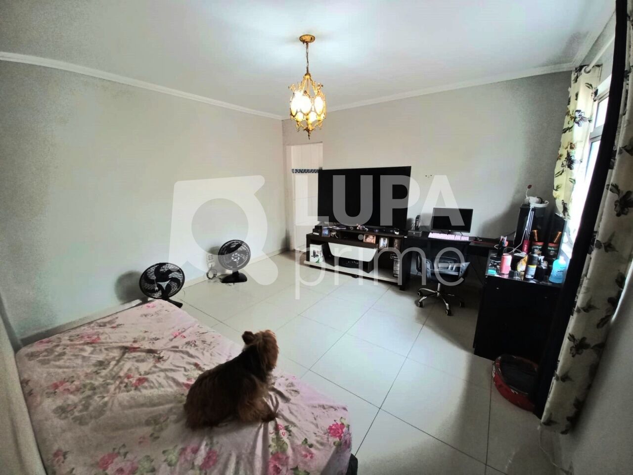 casa-terrea-venda-sao-paulo-vila-nova-mazzei-1dormitorio-50m2-LM27310