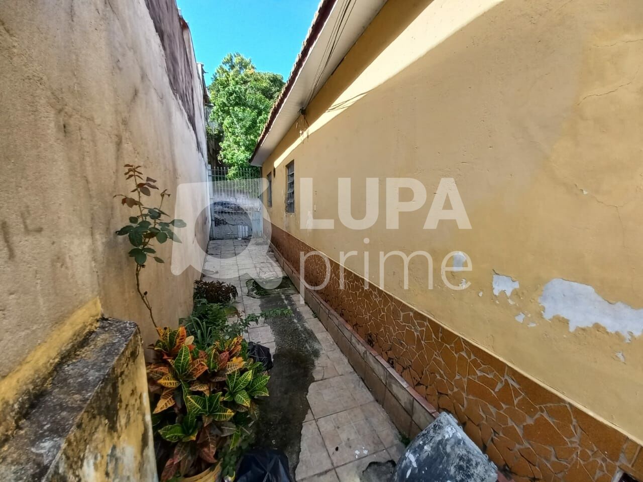 casa-terrea-venda-sao-paulo-casa-verde-alta-3dormitorios-3vagas-400m2-LM27494