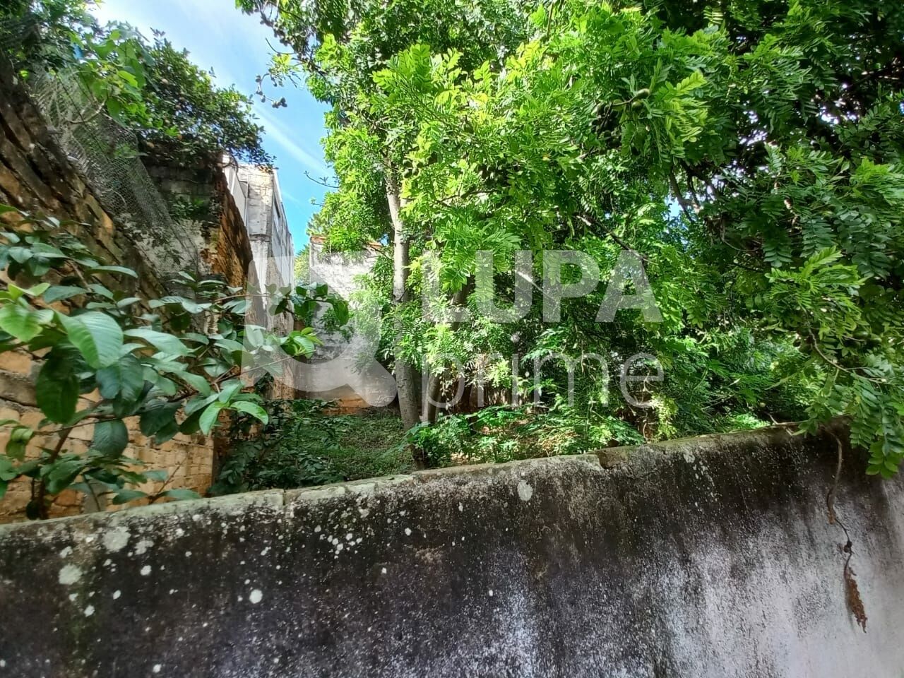 casa-terrea-venda-sao-paulo-casa-verde-alta-3dormitorios-3vagas-400m2-LM27494