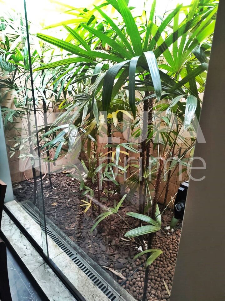 casa-terrea-venda-sao-paulo-parque-novo-mundo-3dormitorios-1suite-5vagas-115m2-LM27598