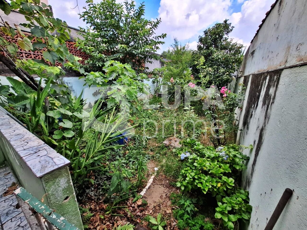 sobrado-venda-sao-paulo-vila-maria-3dormitorios-3suites-4vagas-260m2-LM27661