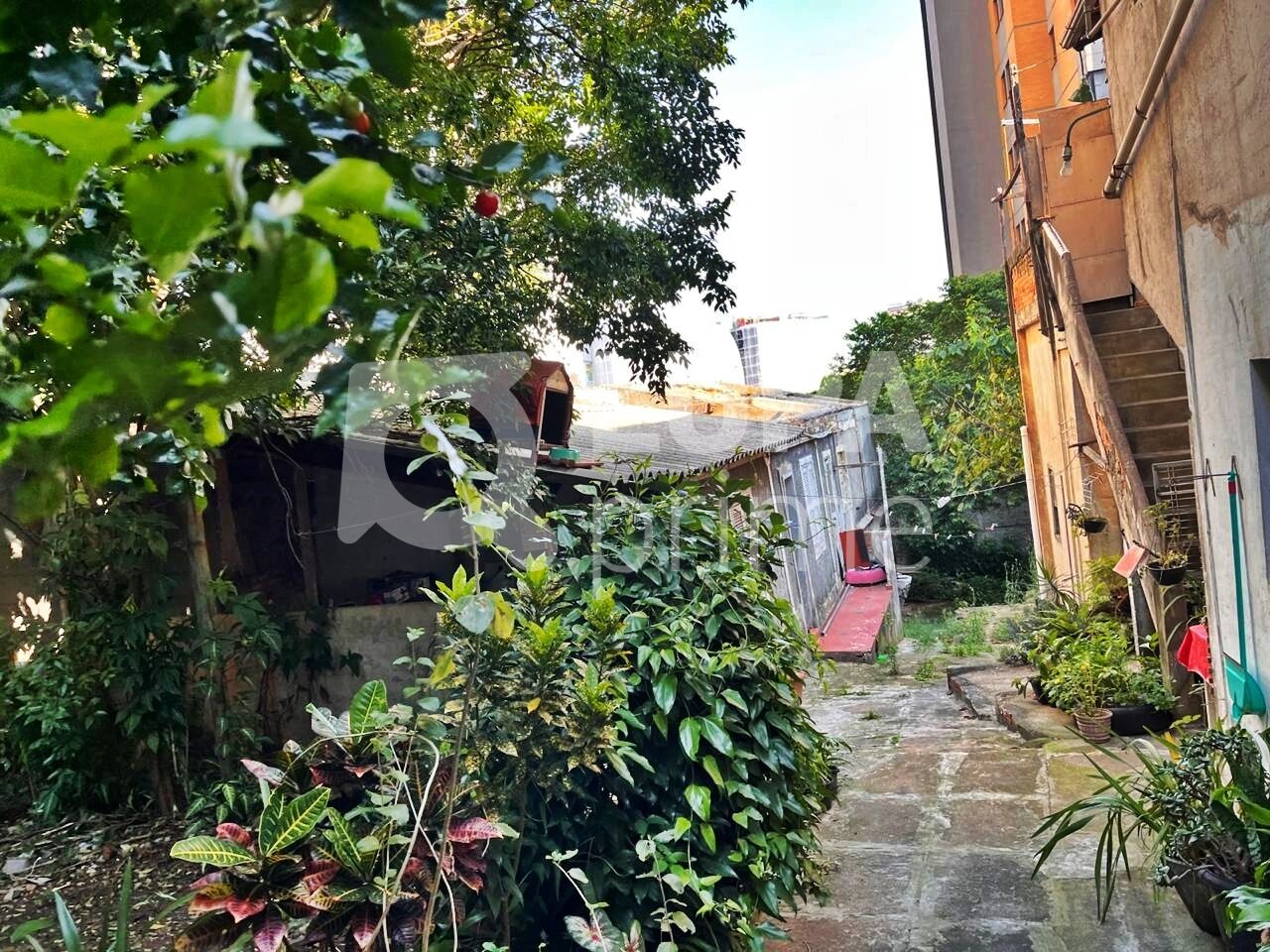 terreno-venda-sao-paulo-casa-verde-403m2-LM27714