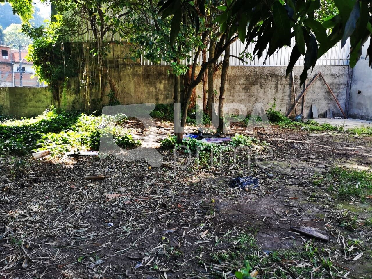 Terreno, 1500 m² - Foto 6