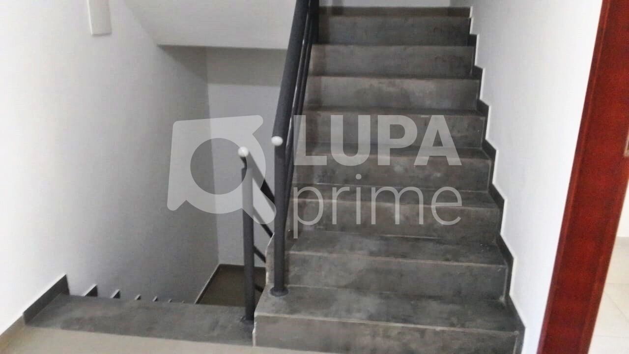 apartamento-locacao-sao-paulo-tucuruvi-2dormitorios-50m2-LM27818
