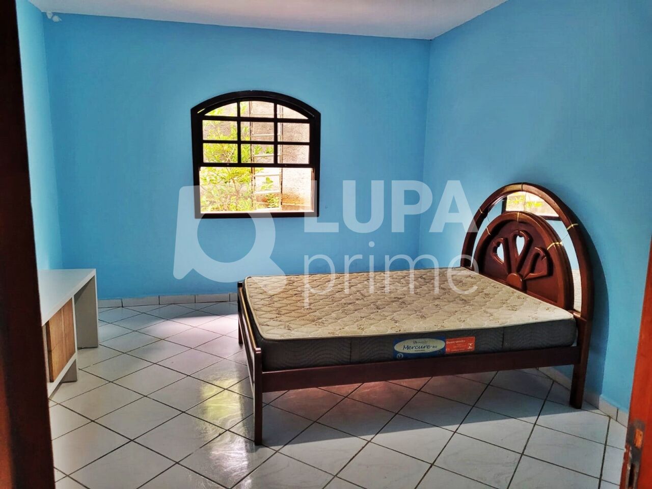 Chácara, 3 quartos, 1000 m² - Foto 6