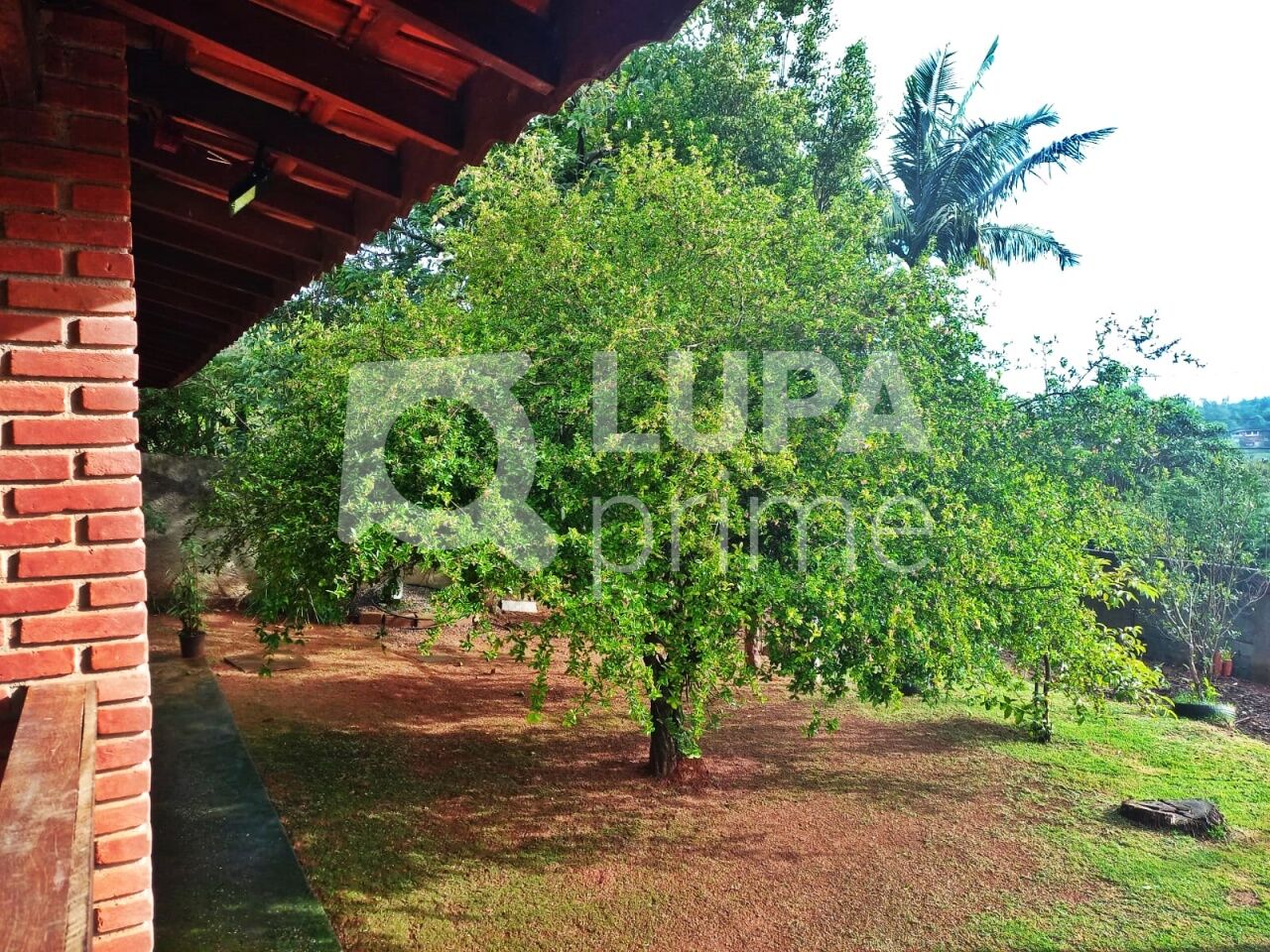 Chácara, 3 quartos, 1000 m² - Foto 16