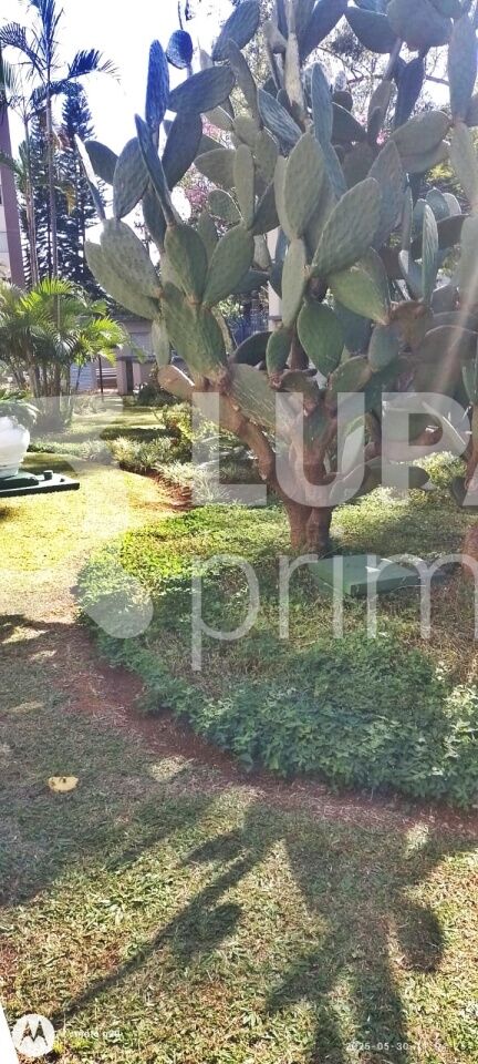 apartamento-venda-sao-paulo-jardim-andarai-2dormitorios-1vaga-54m2-LM28293