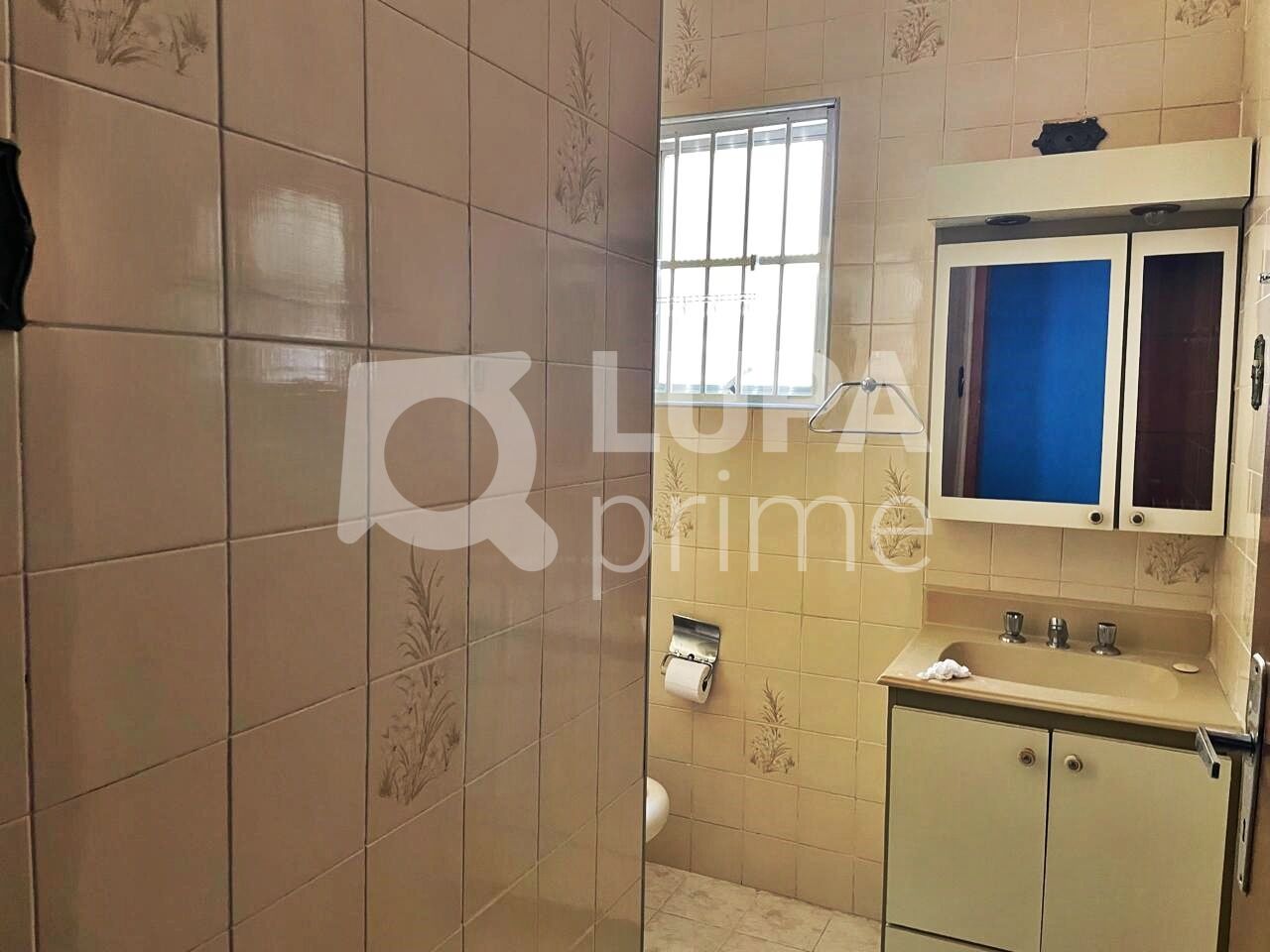 casa-terrea-venda-sao-paulo-vila-ede-1dormitorio-2vagas-96m2-LM28373