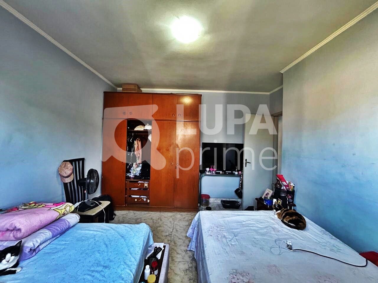 sobrado-venda-sao-paulo-parque-novo-mundo-4dormitorios-1suite-2vagas-158m2-LM28454