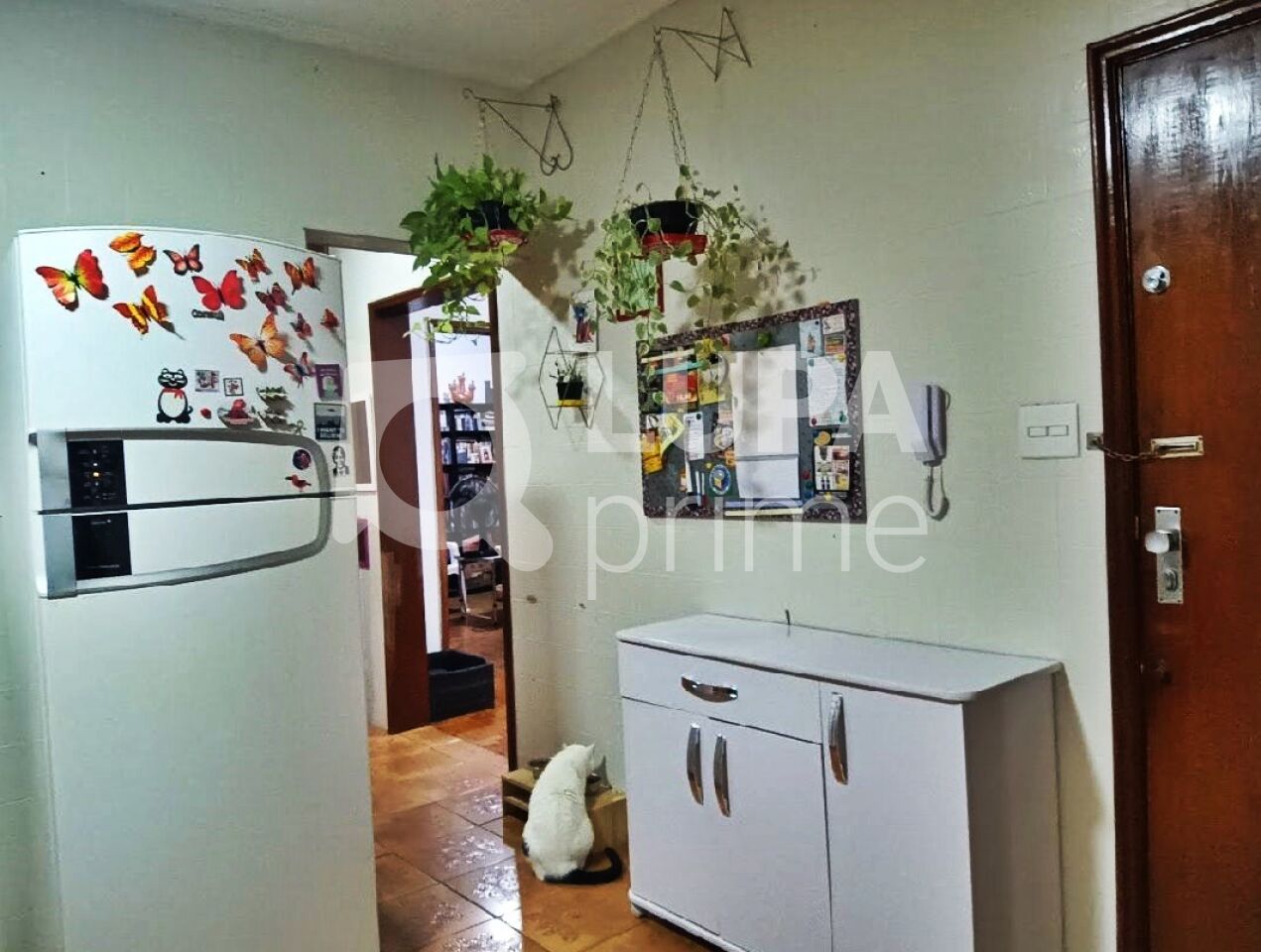 apartamento-venda-sao-paulo-parada-inglesa-2dormitorios-1vaga-90m2-LM28472