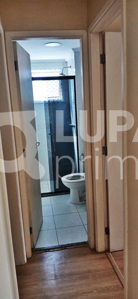 apartamento-venda-sao-paulo-vila-gustavo-2dormitorios-1suite-1vaga-53m2-LM28481