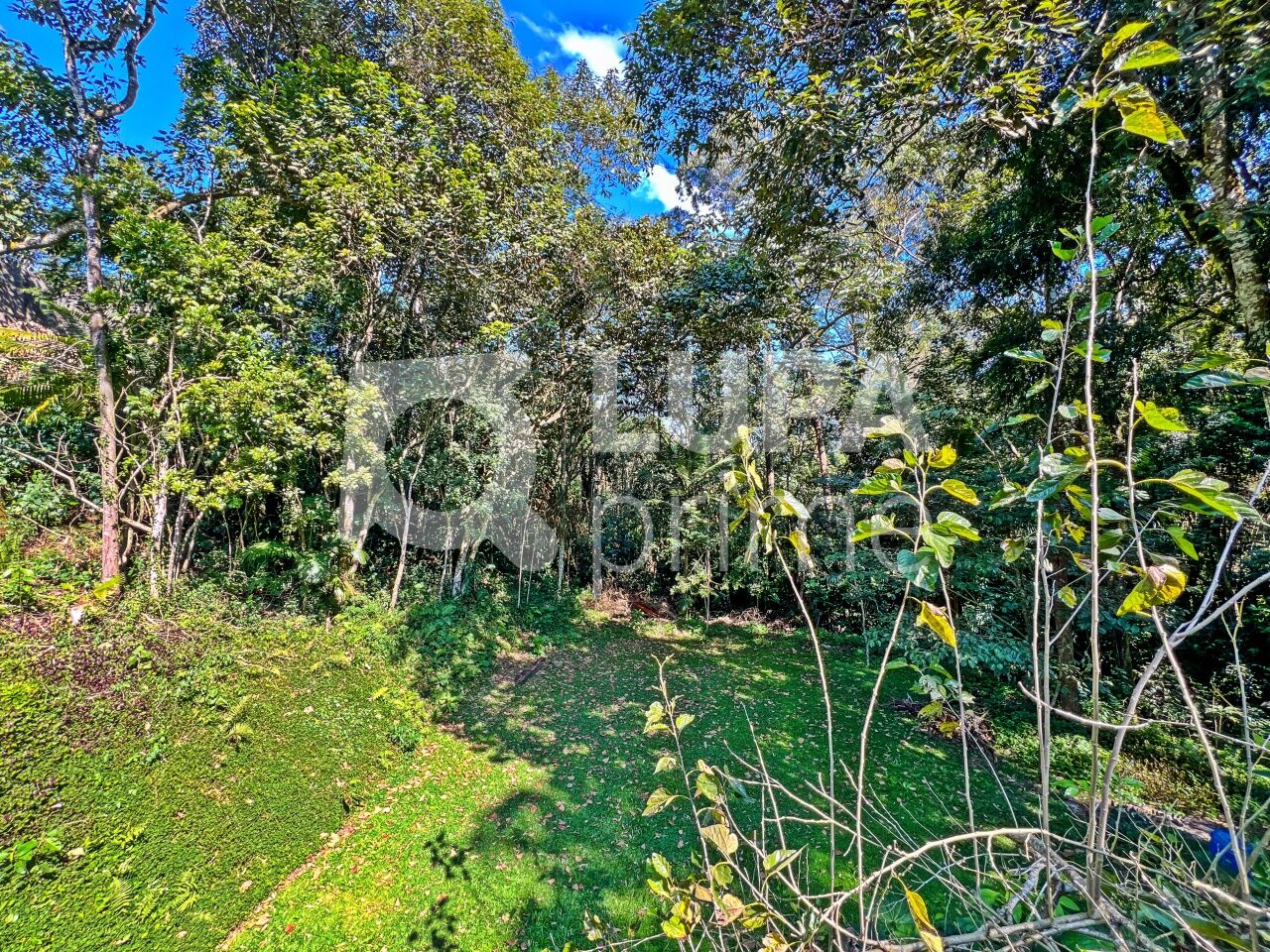 Casa de Condomínio, 3 quartos - Foto 30