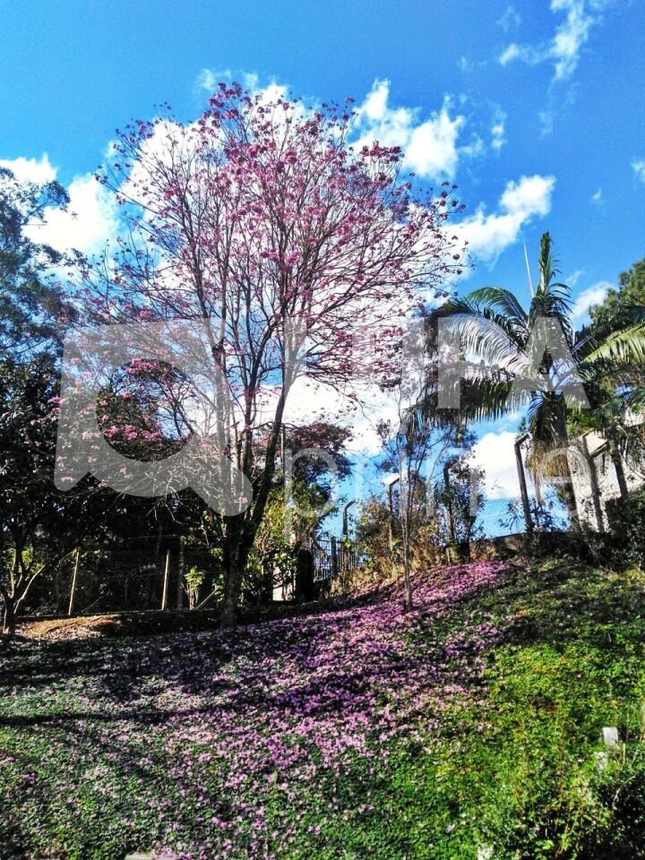 Casa de Condomínio, 3 quartos - Foto 31