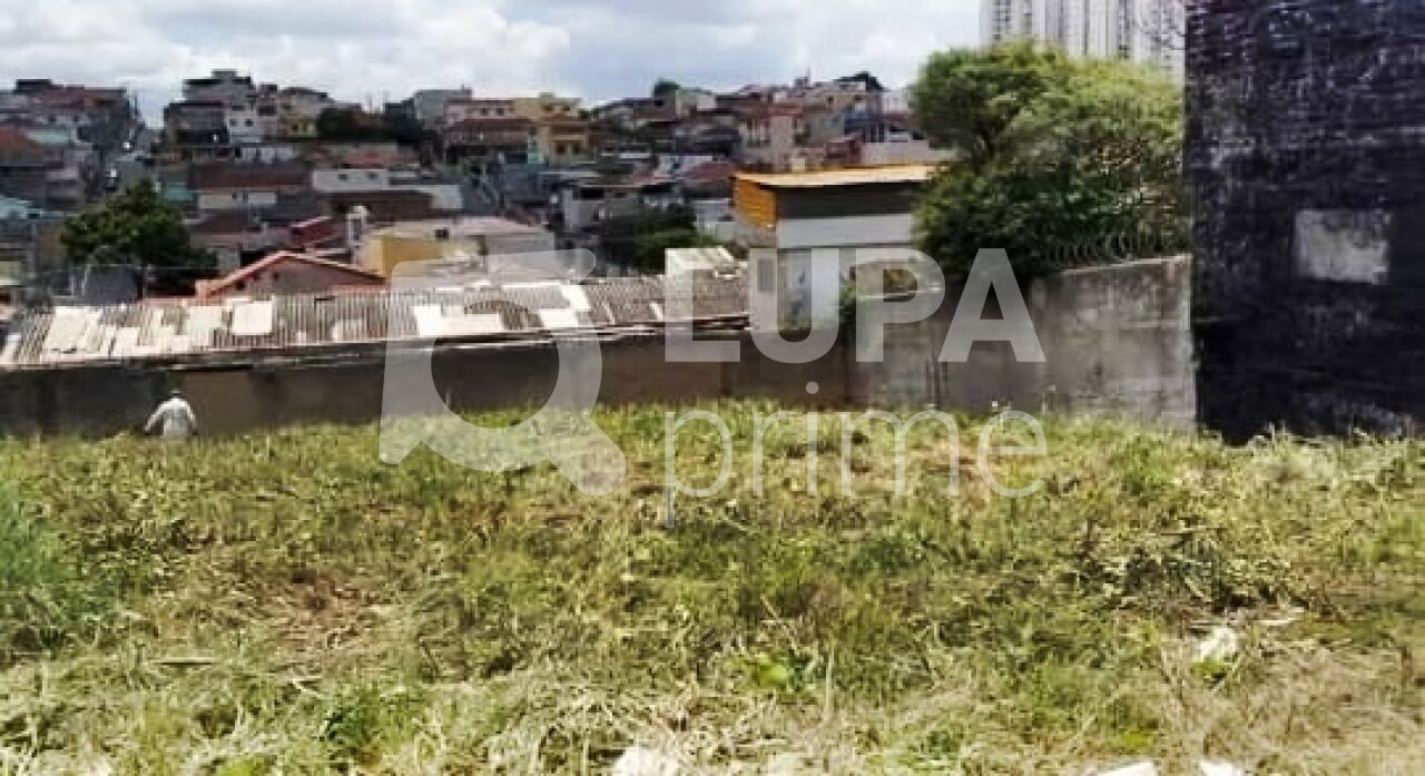 terreno-venda-sao-paulo-vila-isolina-mazzei-LM28574