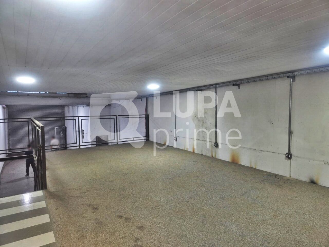 galpao-locacao-sao-paulo-vila-maria-504m2-LM28601