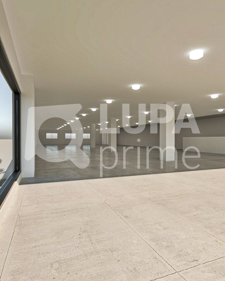 Loja-Salão, 1287 m² - Foto 4