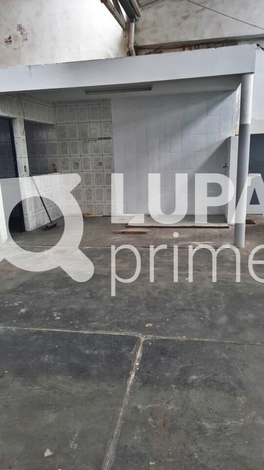Depósito-Galpão, 560 m² - Foto 13