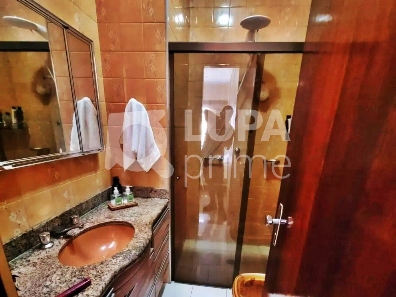 casa-terrea-venda-sao-paulo-vila-maria-3dormitorios-2suites-2vagas-146m2-LM28755