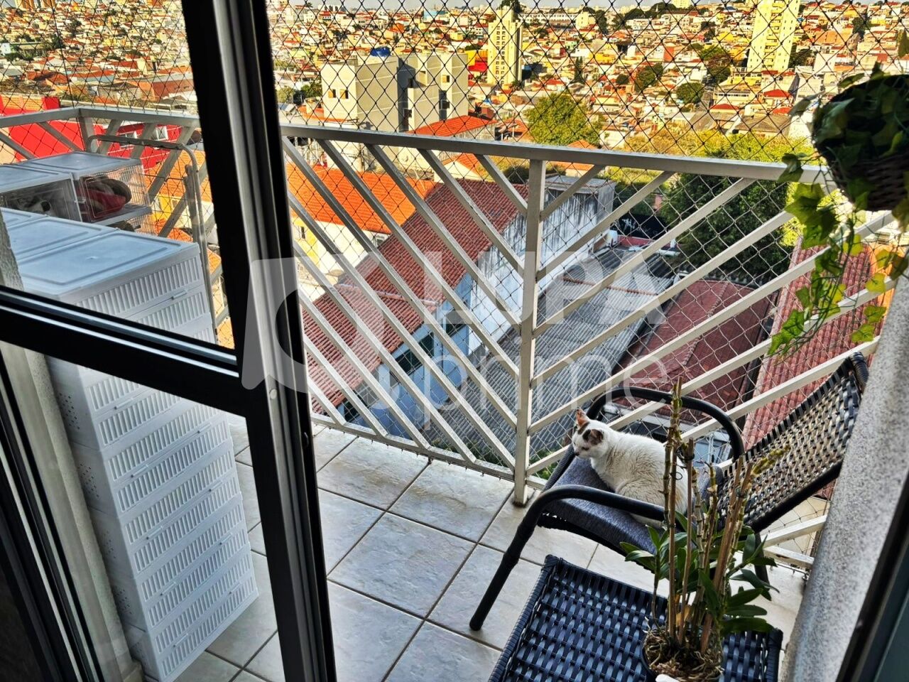 apartamento-venda-sao-paulo-vila-medeiros-3dormitorios-1suite-2vagas-87m2-LM28762