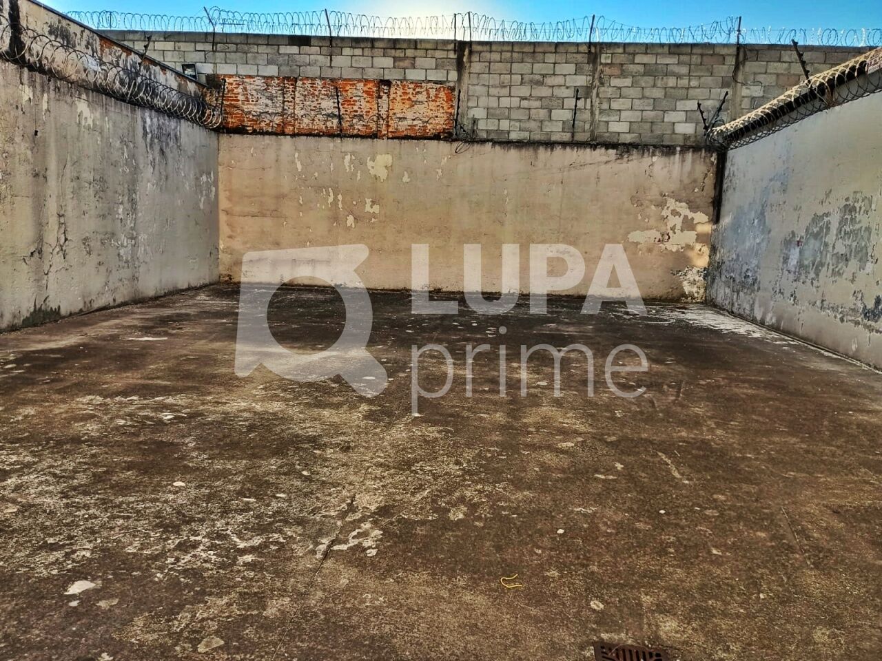 galpao-locacao-sao-paulo-vila-maria-baixa-3vagas-600m2-LM28799