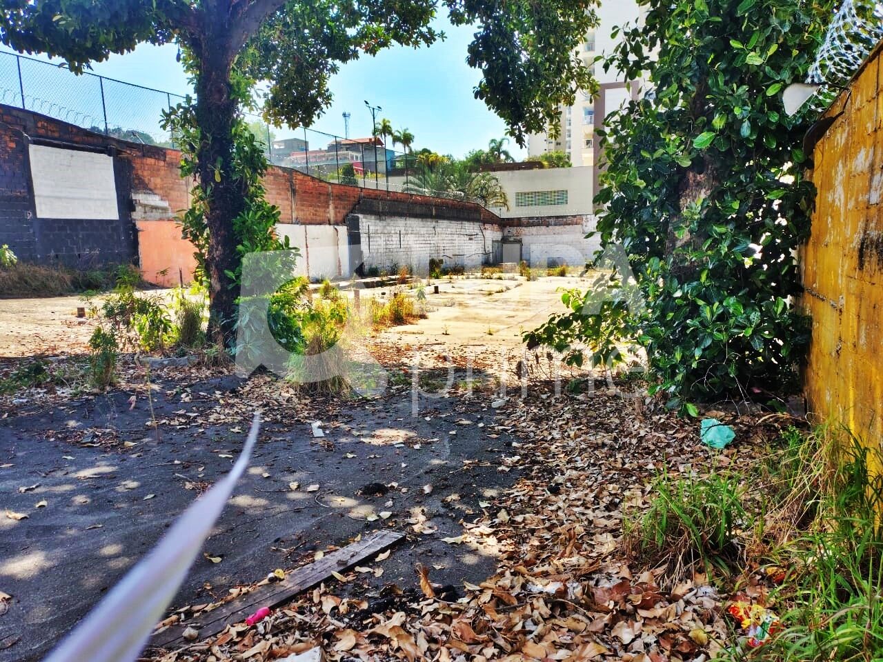 terreno-venda-sao-paulo-lauzane-paulista-LM28878