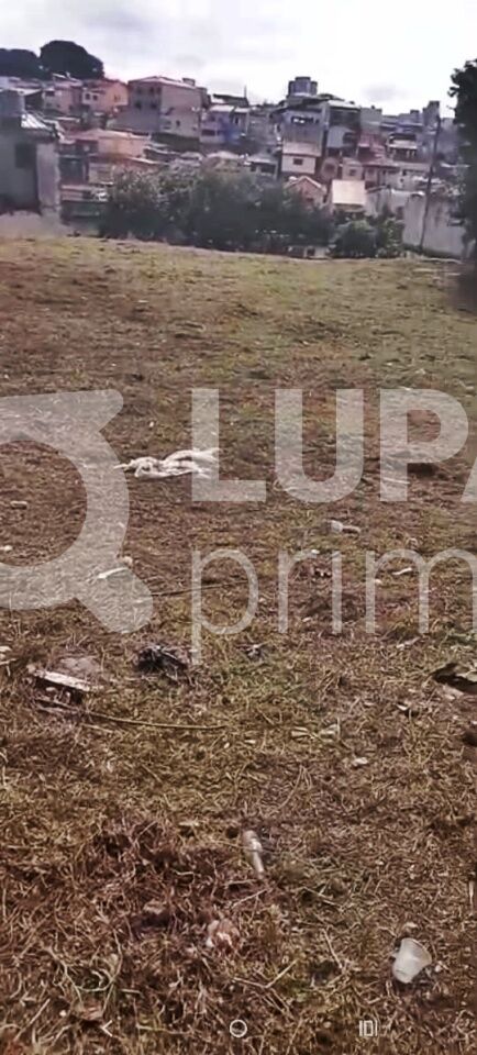 terreno-venda-sao-paulo-vila-gustavo-LM28885