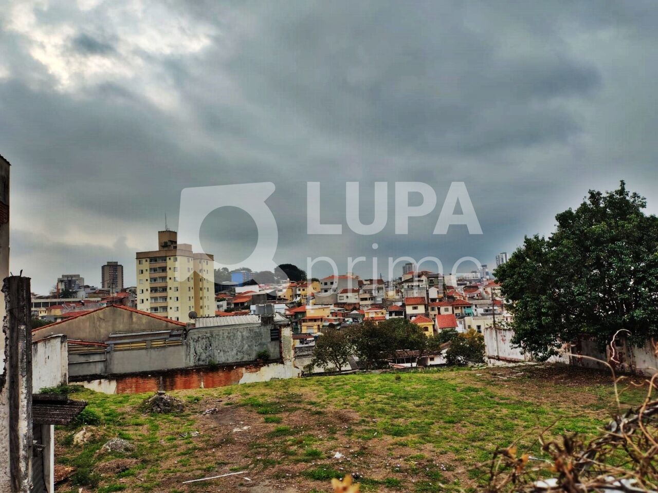 terreno-venda-sao-paulo-vila-gustavo-LM28885