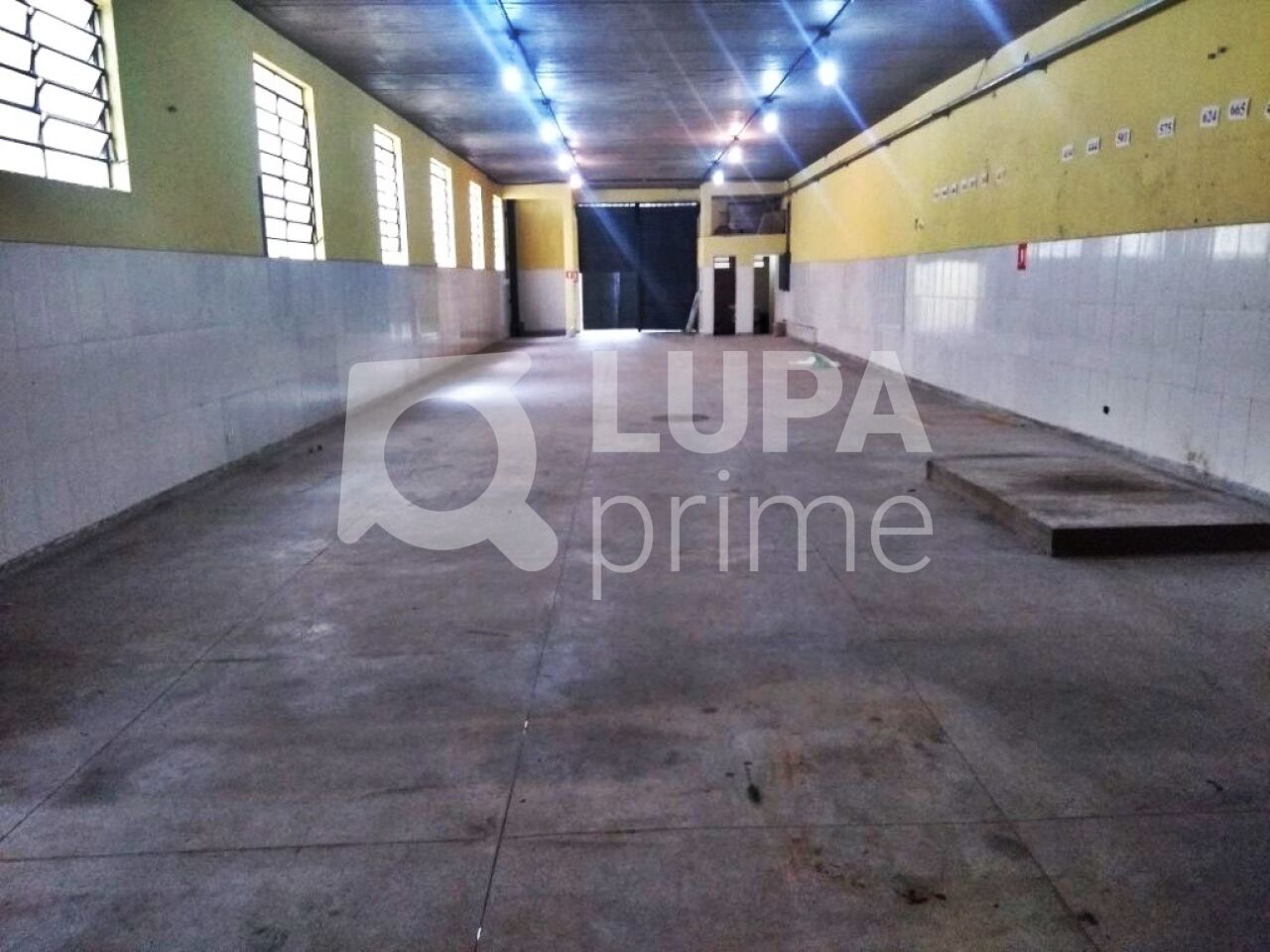 galpao-locacao-sao-paulo-casa-verde-alta-745m2-LM28992