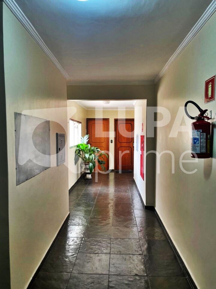 apartamento-venda-sao-paulo-parada-inglesa-2dormitorios-1vaga-63m2-LM29019