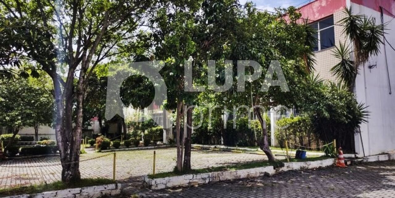 galpao-venda-sao-paulo-vila-guilherme-20vagas-3381m2-LM29077