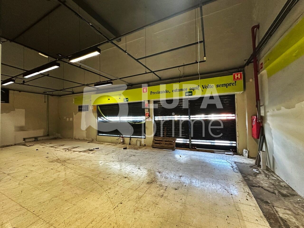 Depósito-Galpão, 800 m² - Foto 5