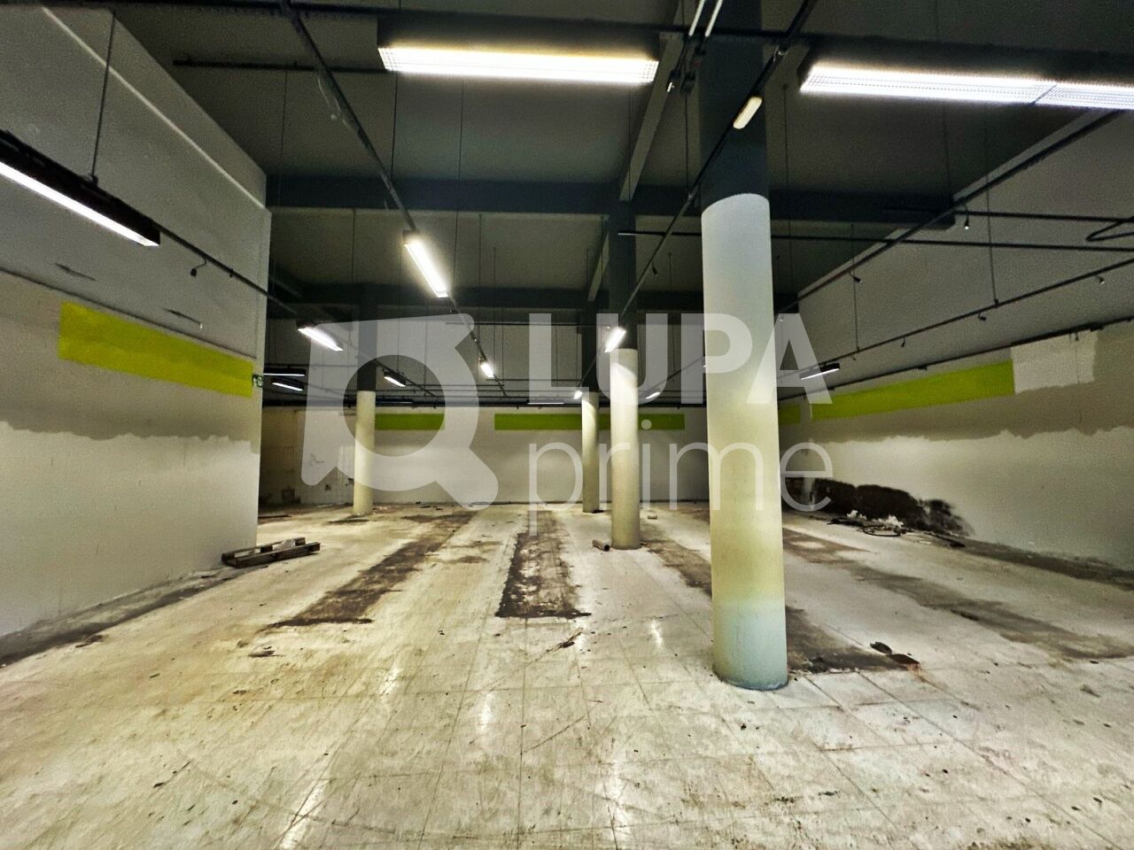 Depósito-Galpão, 800 m² - Foto 3