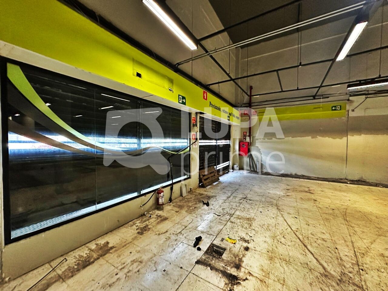 Depósito-Galpão, 800 m² - Foto 4