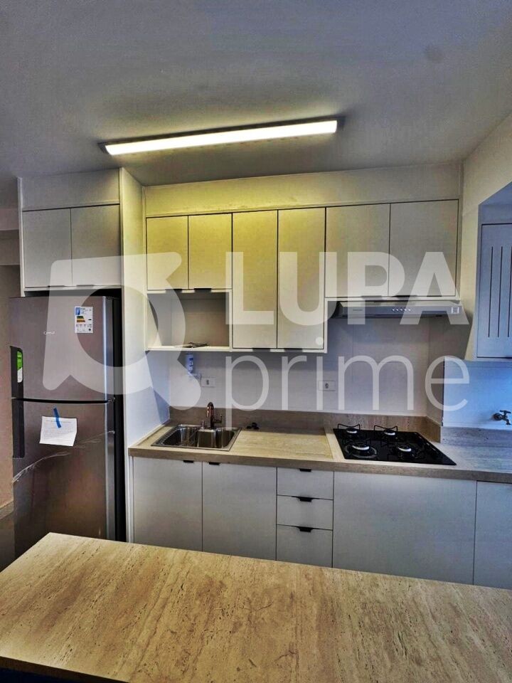 apartamento-locacao-sao-paulo-tucuruvi-2dormitorios-1vaga-44m2-LM29124