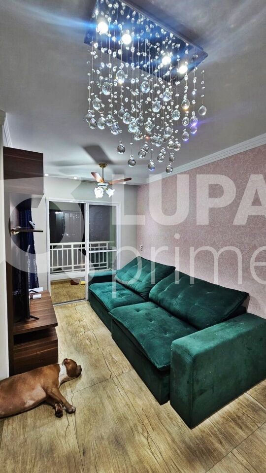 apartamento-venda-sao-paulo-mandaqui-3dormitorios-1suite-1vaga-63m2-LM29172