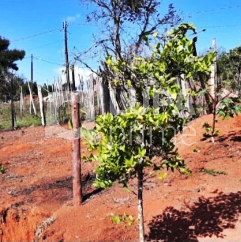 Terreno, 200 m² - Foto 6