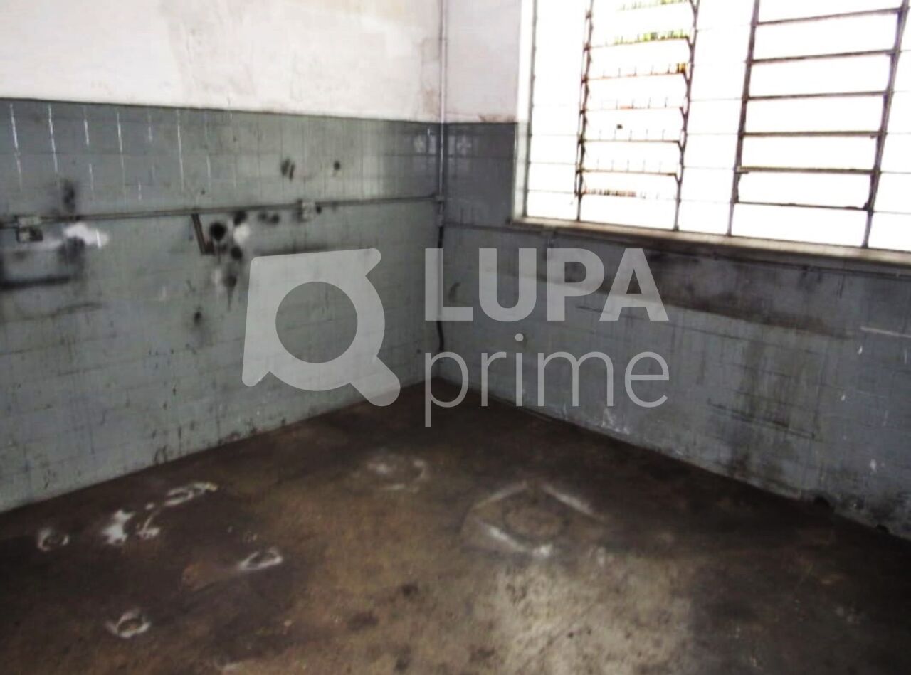 galpao-venda-sao-paulo-bras-500m2-LM29202