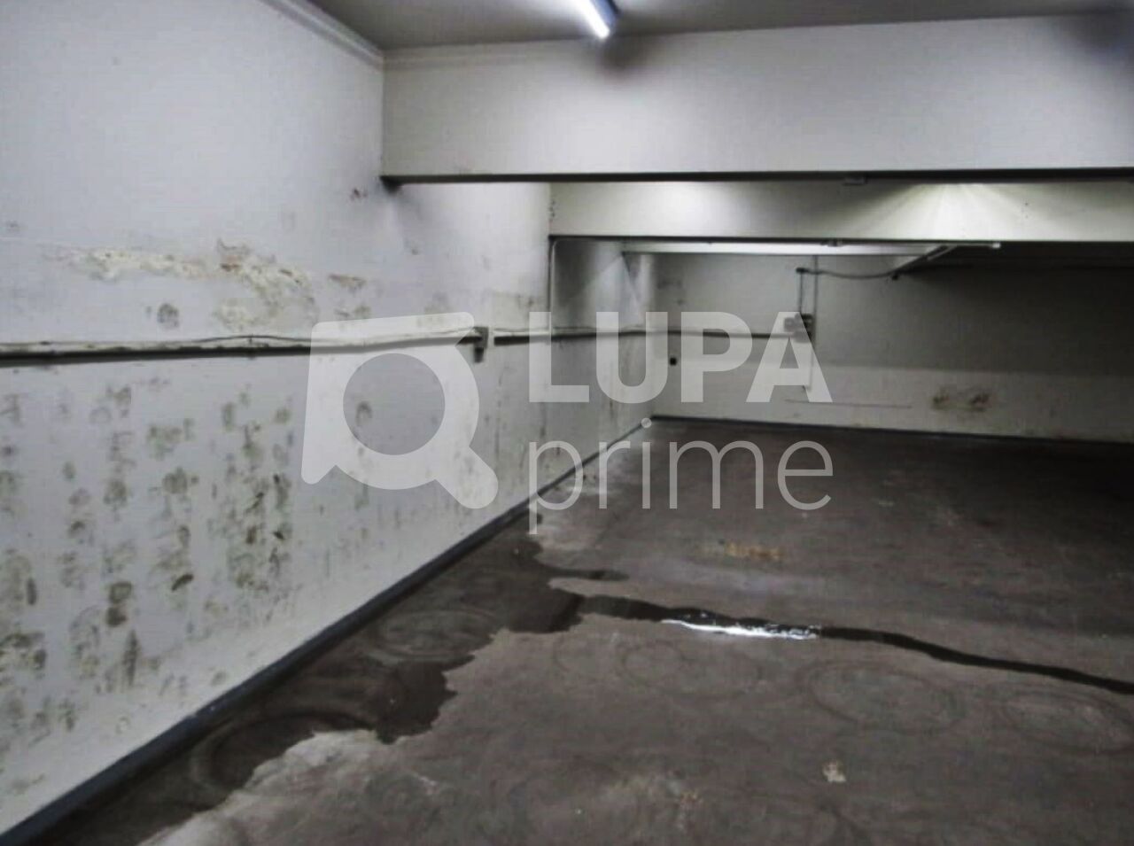 galpao-venda-sao-paulo-bras-500m2-LM29202