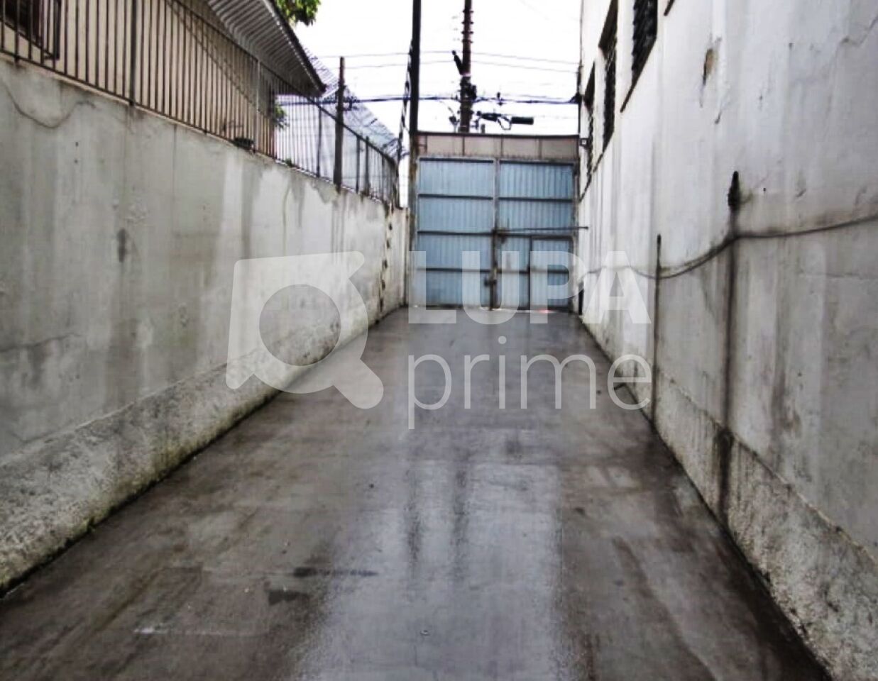 galpao-venda-sao-paulo-bras-500m2-LM29202